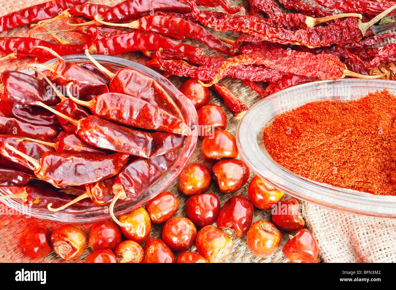 HMA 61587 Indian spices ; red hot chilli capsicum frutescens ; India Stock Photo Alamy