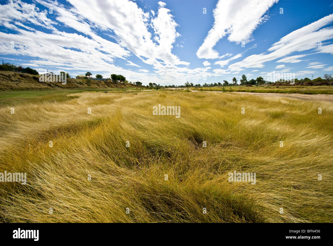 Tall dry season grass lines the shore of the Flinders River in drought Stock Photo