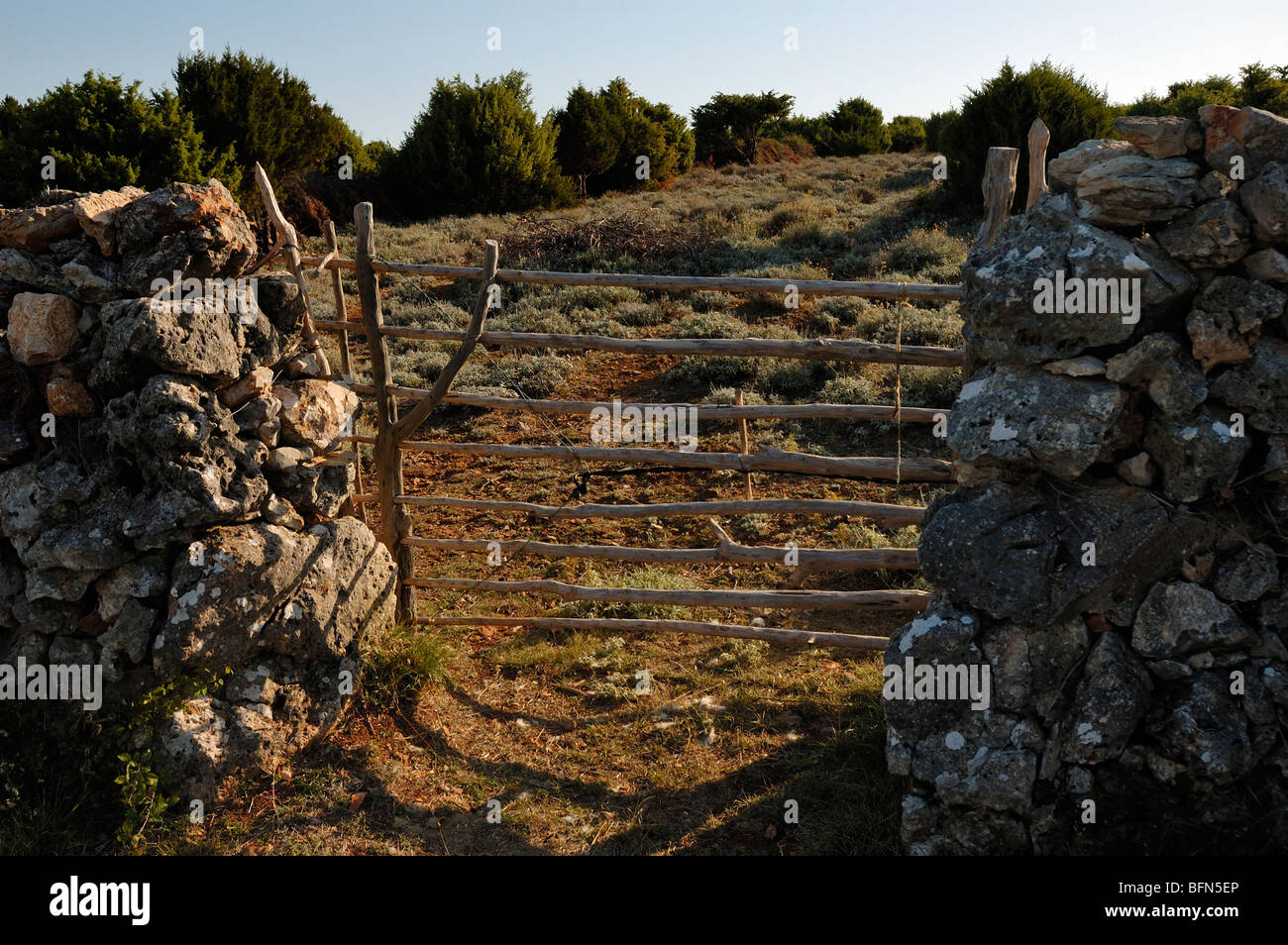 Island Cres, Croatia, traditional wooden gate in drystone wall, closed Stock Photo