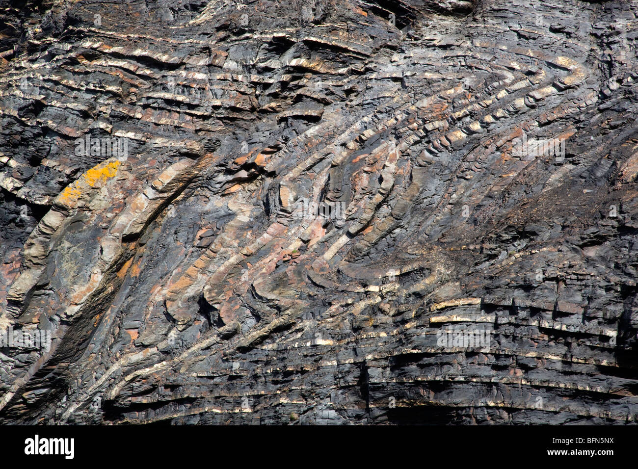 Strangles; geology part of the Crackington Haven formation; Cornwall Stock Photo