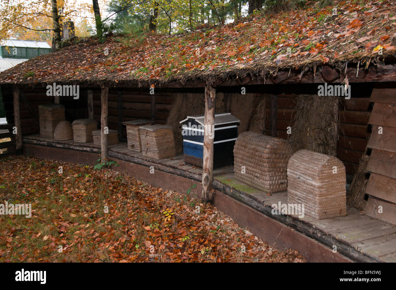 Holland Arnhem open air museum,hives Stock Photo