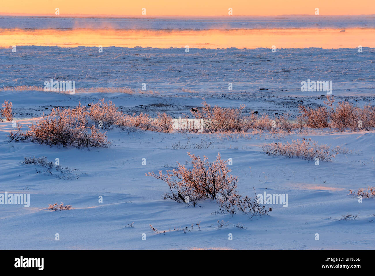Hudson Bay coastline in early winter, Churchill, Manitoba, Canada Stock Photo
