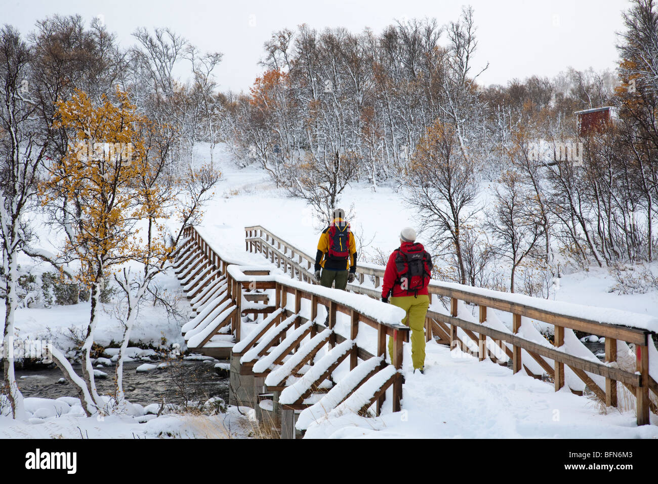 Walking through snowy forest hi-res stock photography and images - Alamy
