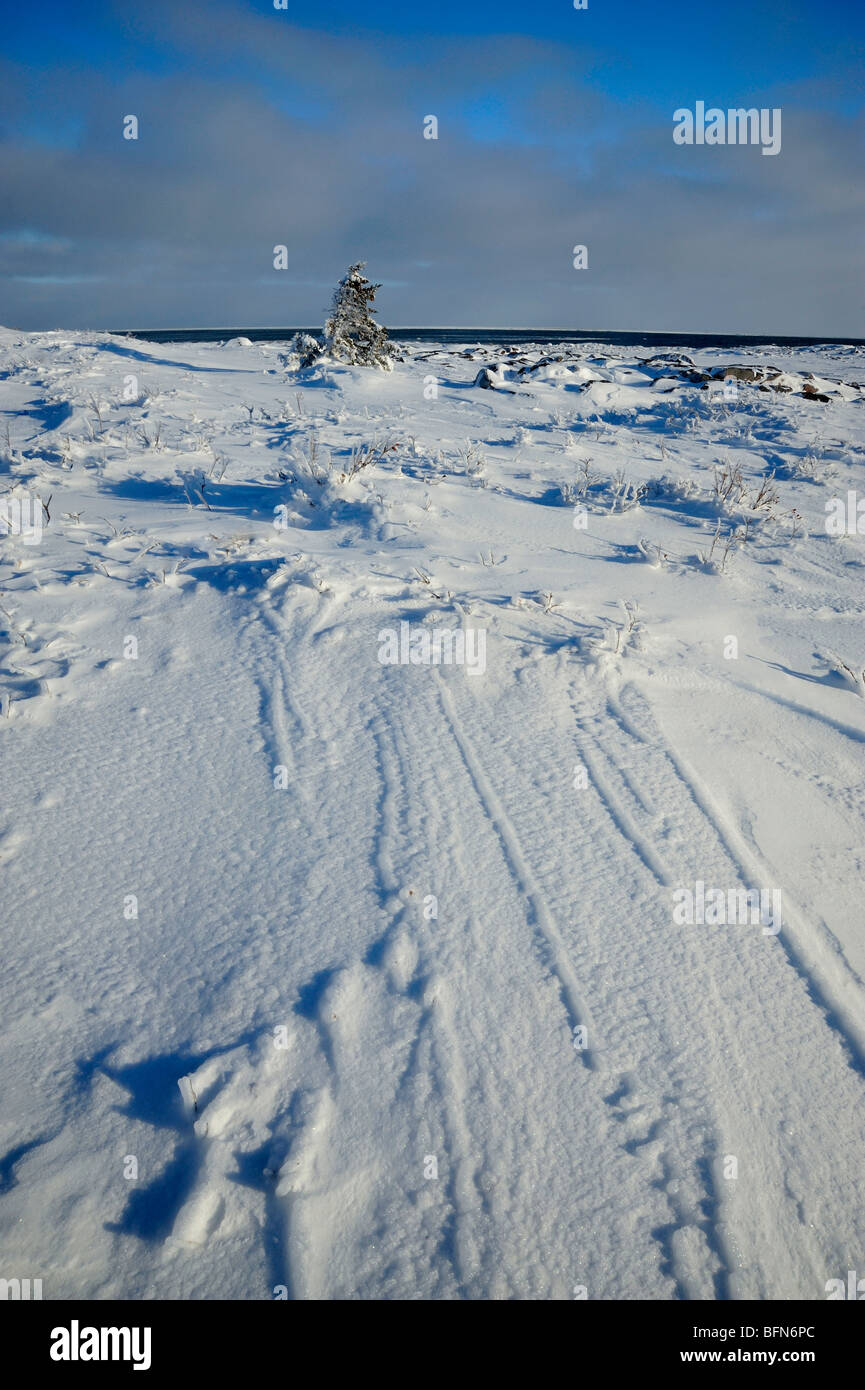 Wind-sculpted snow at Cape Merry, Churchill, Manitoba, Canada Stock Photo