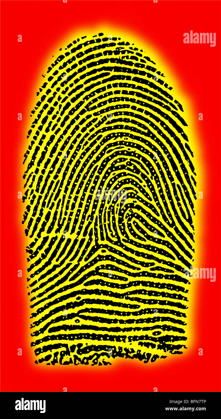 Human fingerprint Stock Photo