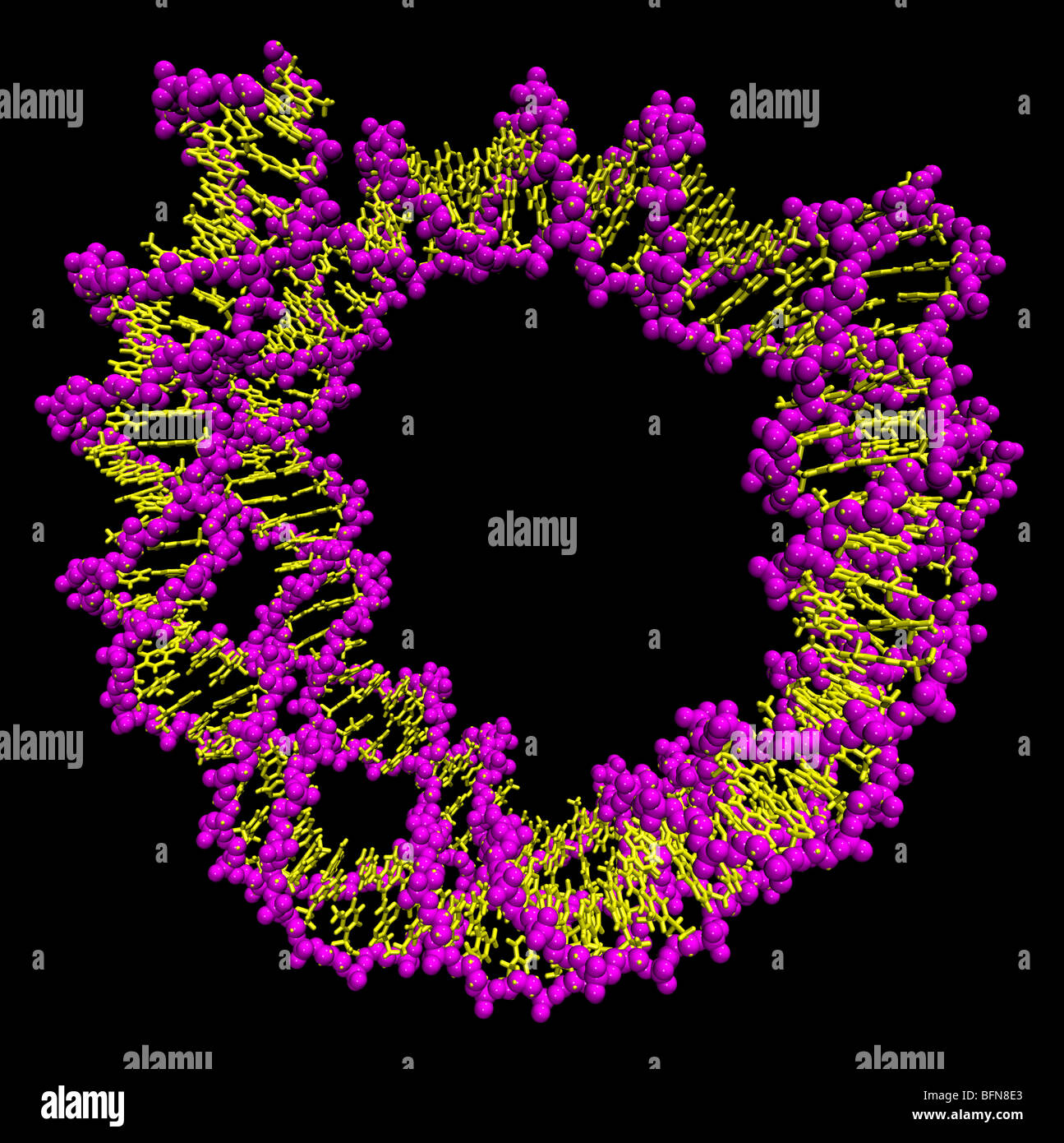 Three-dimensional computer generated model of a 146 base pair long DNA strand as it appears in the nucleosome. Stock Photo