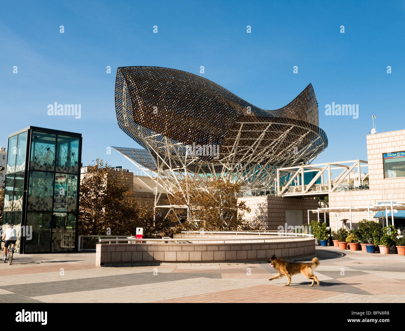 Peix Ballena  /Fish/ sculpture by Frank Gehry in Barcelona Port Olympic Stock Photo