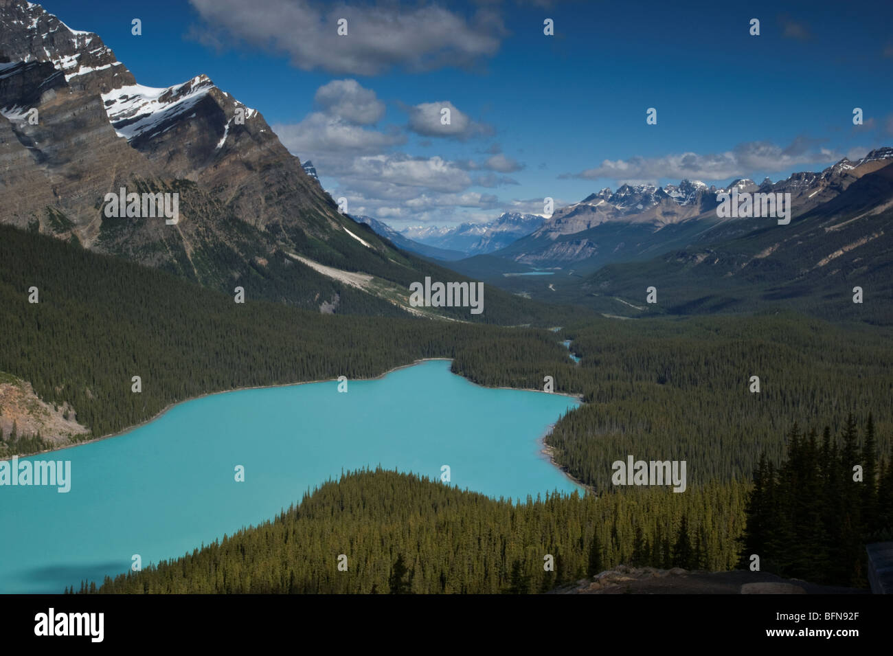 Peyto Lake, Bow Summit. Banff National Park, Canada Stock Photo - Alamy