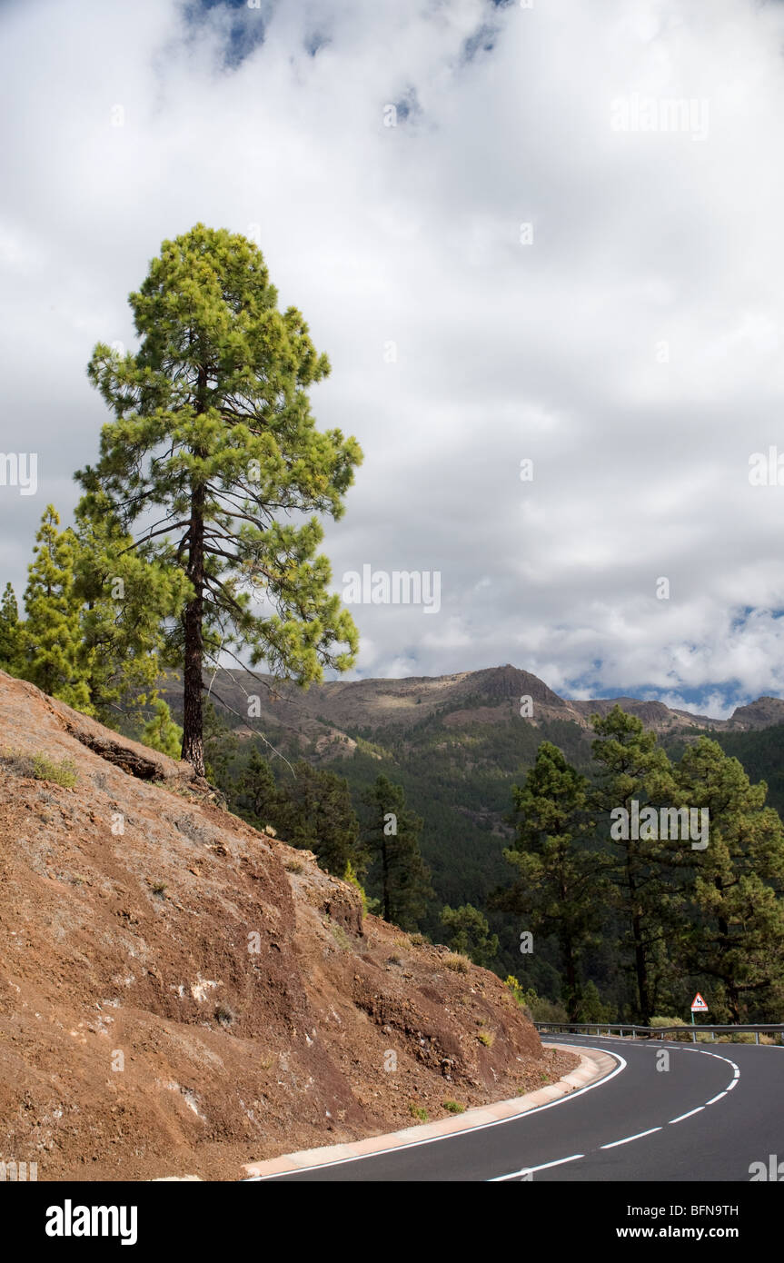 Road in Teide National Park Tenerife Canary Islands Stock Photo