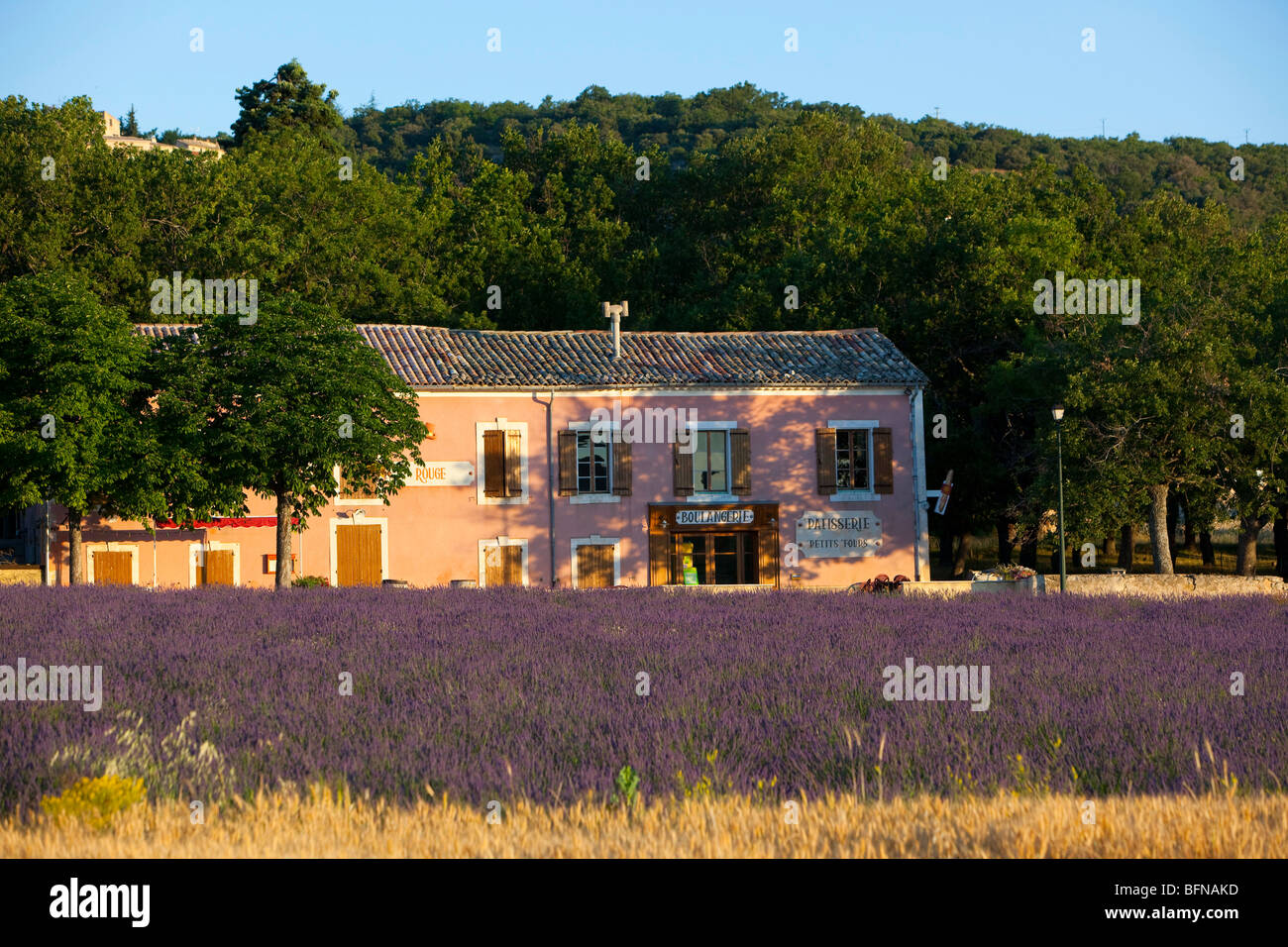 France, Alpes de Haute Provence, Simiane la Rotonde Stock Photo