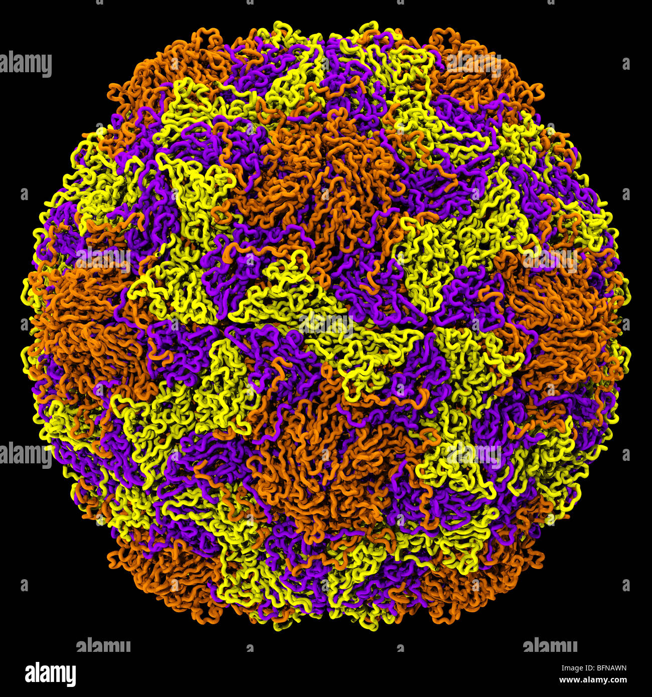 Human rhinovirus structure. Three dimensional computer generated model based upon the experimentally determined atomic structure Stock Photo