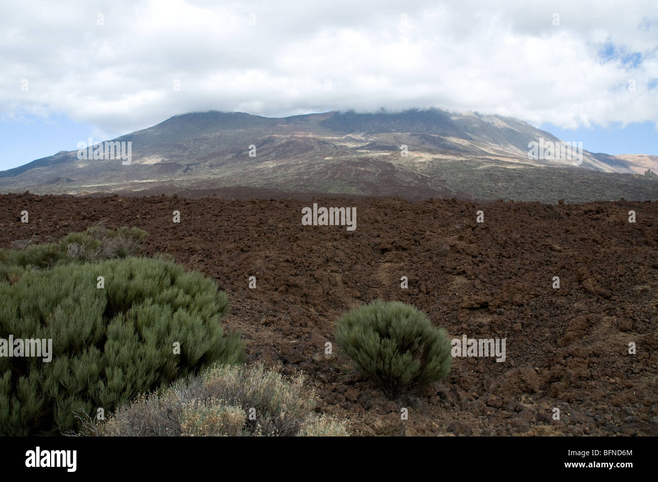 Landscape in Teide national park in Tenerife Canary Islands Stock Photo