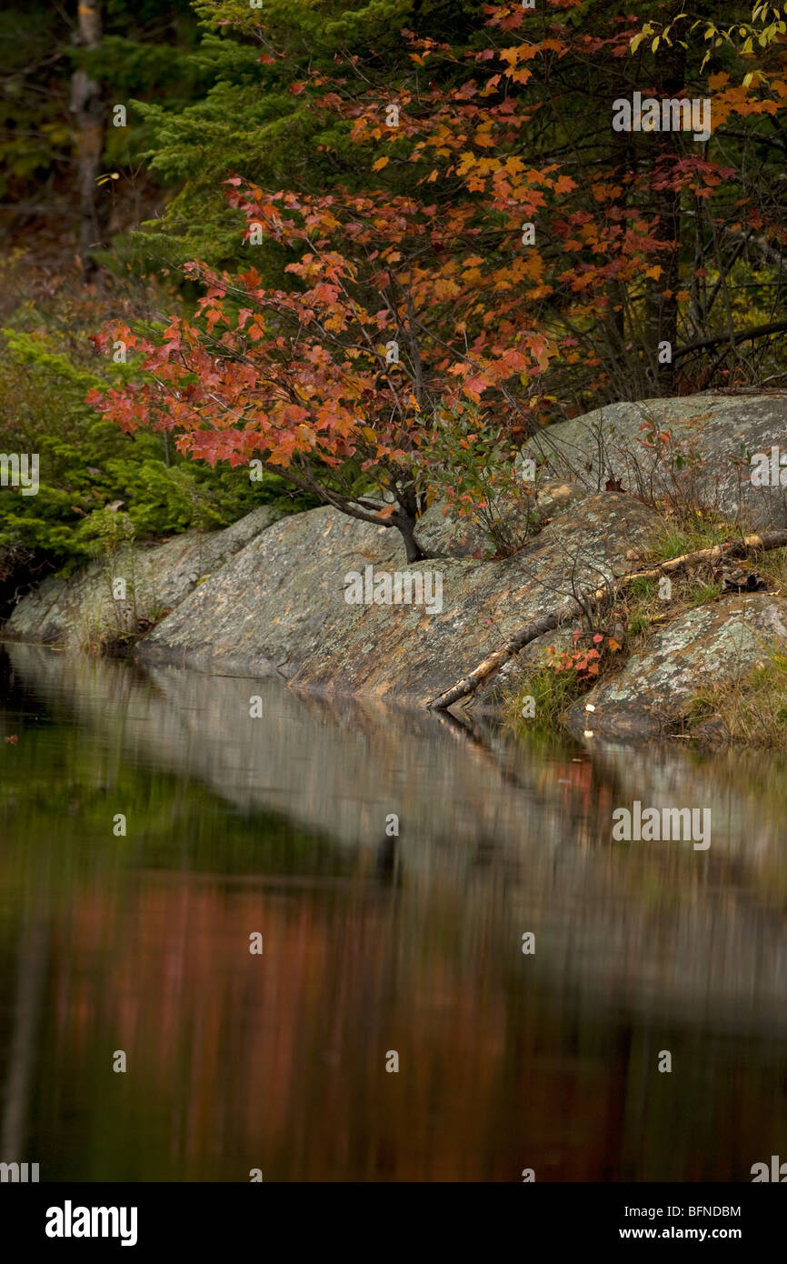 Autumn Scene in Adirondack Mountains - New York - USA Stock Photo
