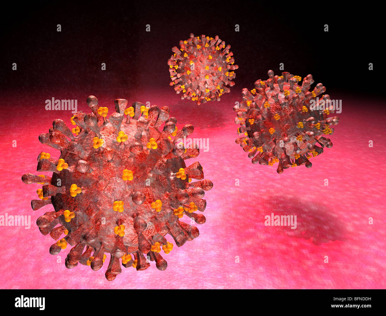 computer-generated-three-dimensional-model-of-the-h5n1-avian-influenza