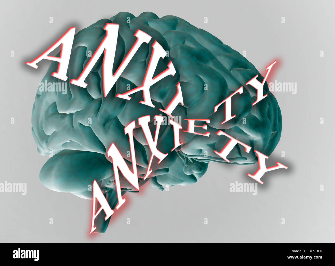 illustration of the human brain with the word anxiety Stock Photo
