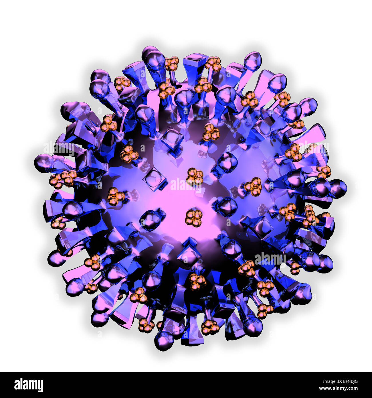 Computer generated three dimensional model of the H5N1 avian influenza virus. Stock Photo