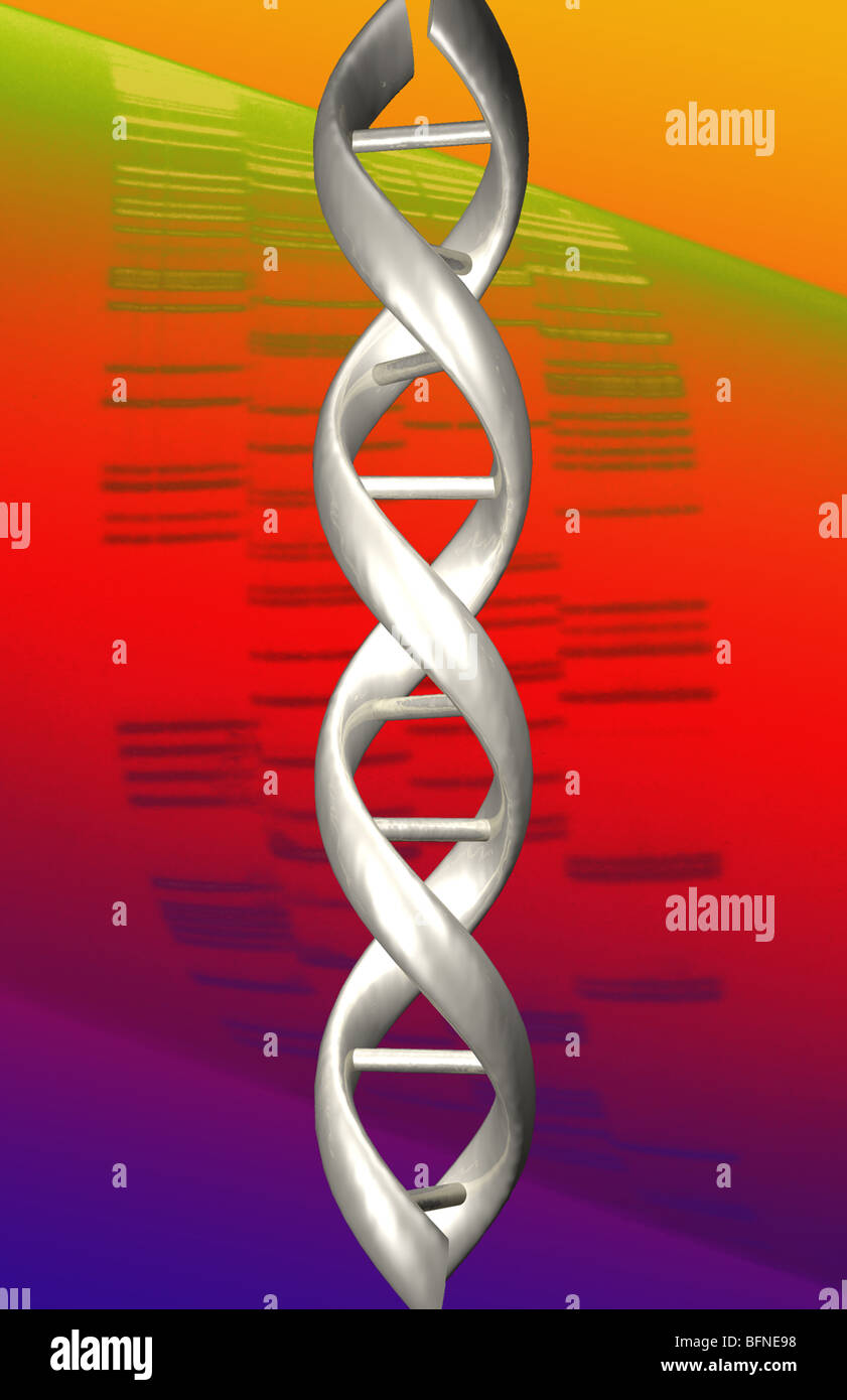 Computer generated DNA molecule superimposed over a colorized autoradiograph of a polyacrylamide