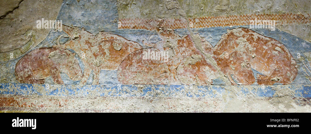 Reliefs of hippos in the water of the Nile in the Tomb of Senbi at Meir , North West of Assyut in Middle Egypt Stock Photo