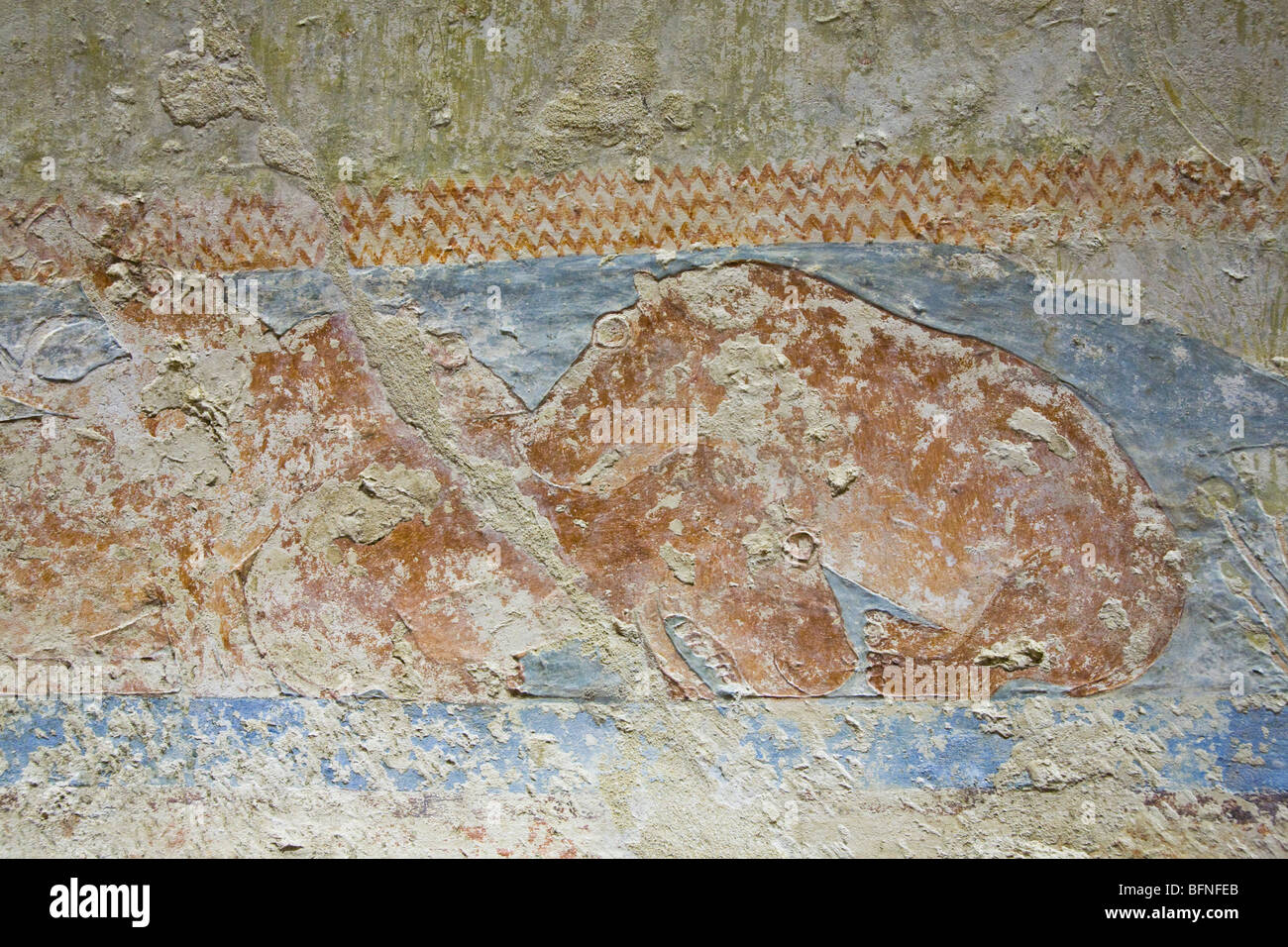 Reliefs of hippo in the water of the Nile in the Tomb of Senbi at Meir , North West of Assyut in Middle Egypt Stock Photo