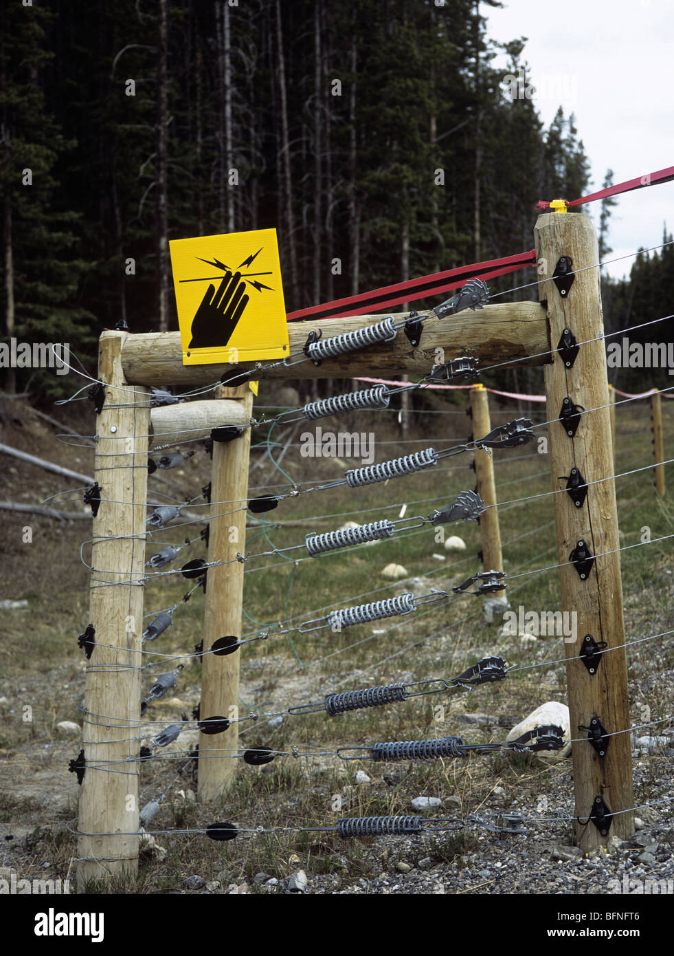 Electric bear proof fence hires stock photography and images Alamy