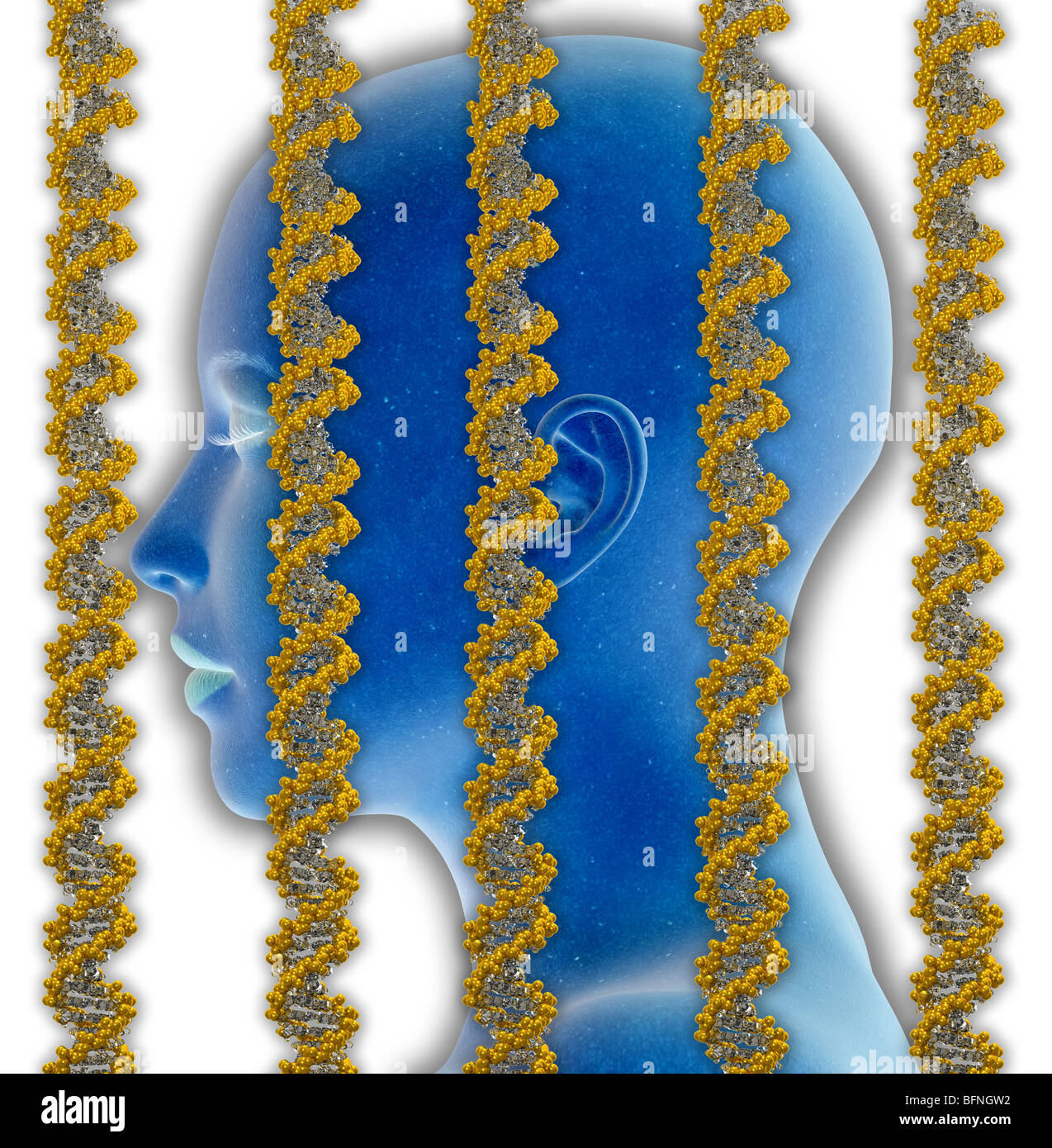 Illustration of DNA strands superimposed over a woman's face Stock Photo