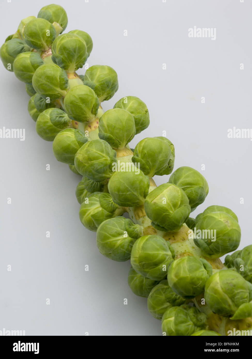 Brussel sprouts on stem hi-res stock photography and images - Alamy