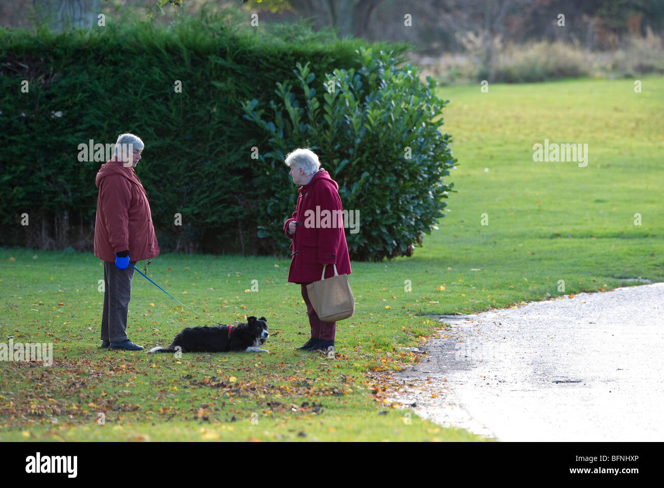 Two women walking with a dog hi-res stock photography and images - Alamy