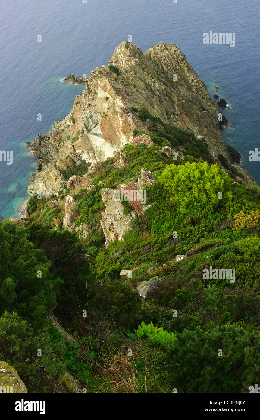 Gorgona island, Punta di Cala Maestra, Tuscan archipelago, Italy Stock