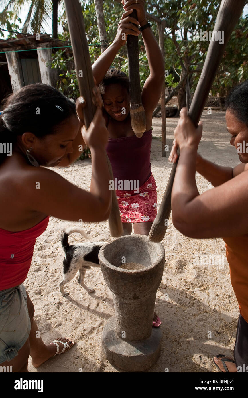Black women pounding rice grain in wooden mortar at Agrovila Marudá , a Quilombo in Alcântara, Maranhão, Northeast Brazil. Stock Photo
