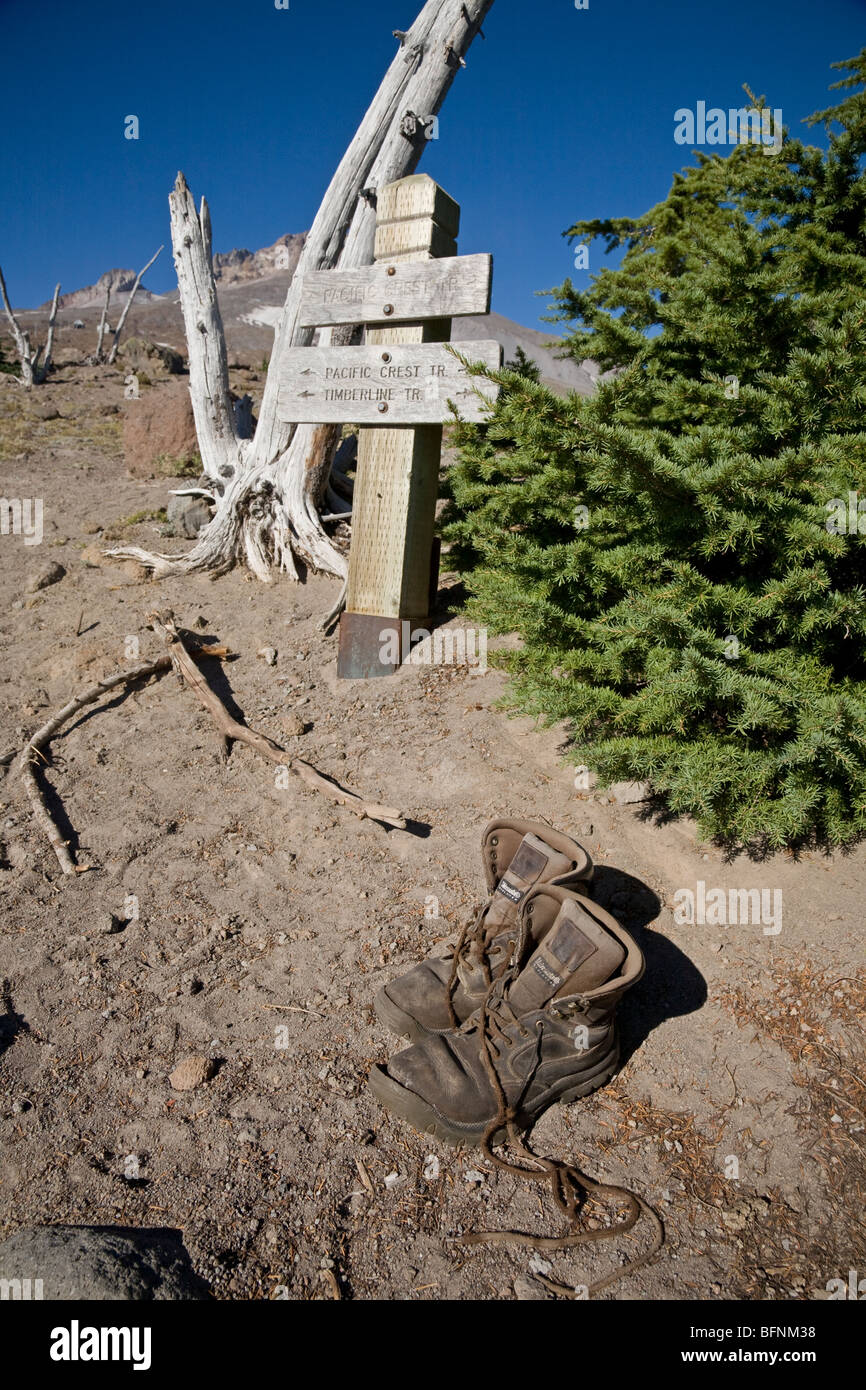 timberline hiking boots