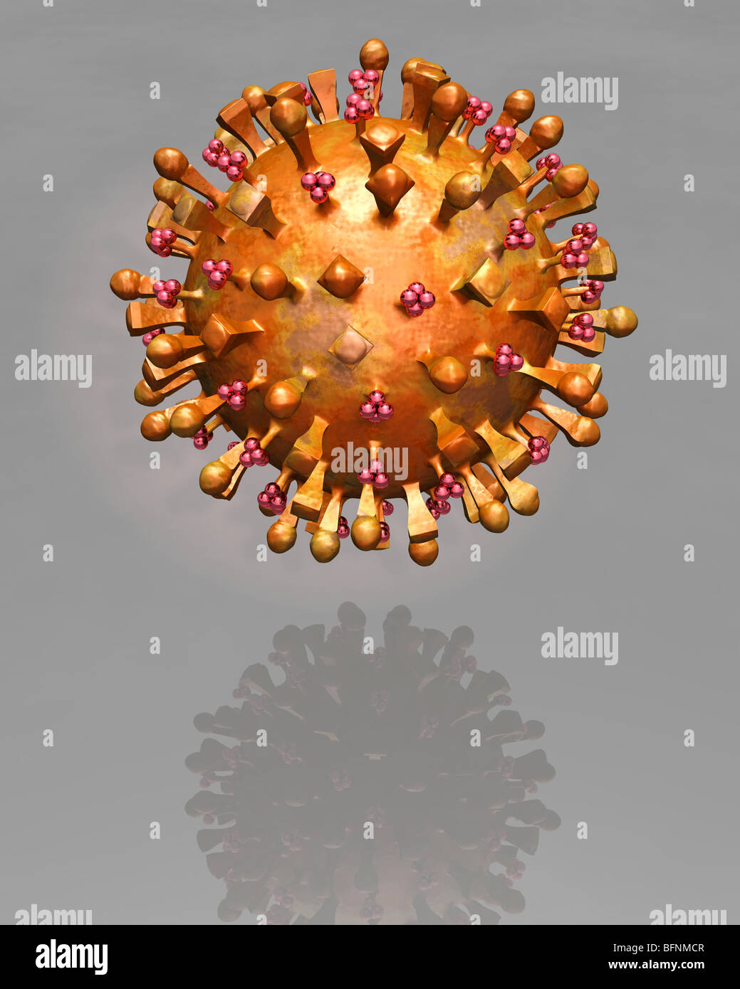 Computer generated three dimensional model of the H5N1 avian influenza virus. Stock Photo