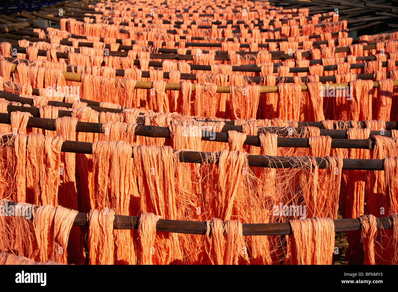 Dyed yarn drying ; bed sheet factory ; Solapur ; Maharashtra ; India