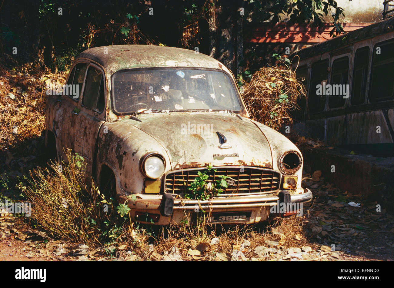 Ambassador car abandoned rusting ; India ; asia Stock Photo