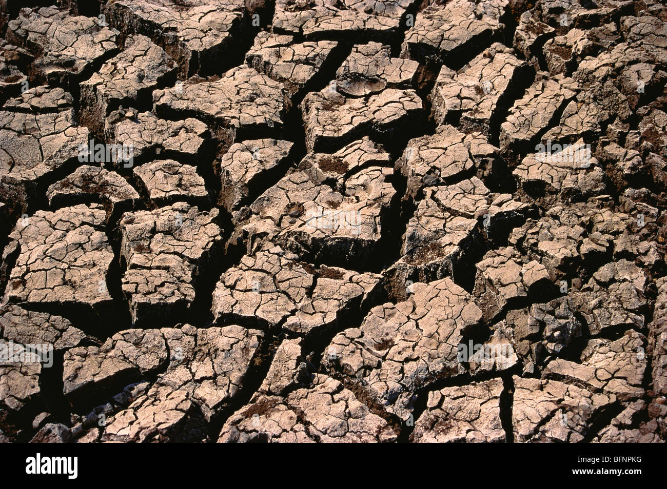 Barren land ; cracked earth ; drought ; Uttan ; Maharashtra ; India ; asia Stock Photo