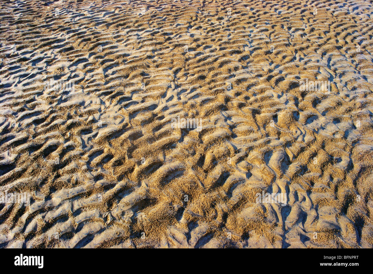 Sand pattern on the beach ; Malad ; Bombay ; Mumbai ; Maharashtra ; India ; asia Stock Photo