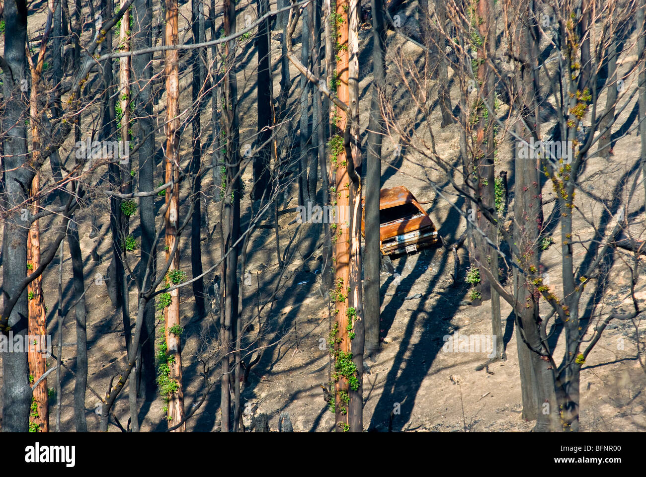 The wreck of a car destroyed by fire lies at the foot of a ravine. Stock Photo