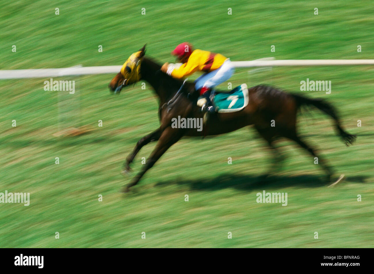 Horse Racing ; Mahalaxmi racecourse ; Bombay ; Mumbai ; Maharashtra