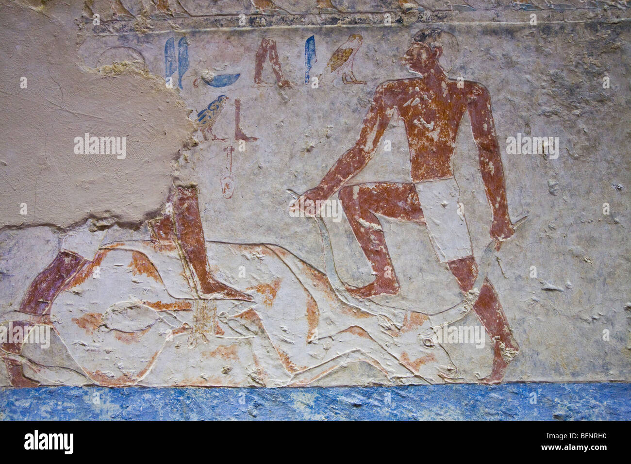 Relief showingbutchery scenes in the Tombs at Meir , North West of Assyut in Middle Egypt Stock Photo