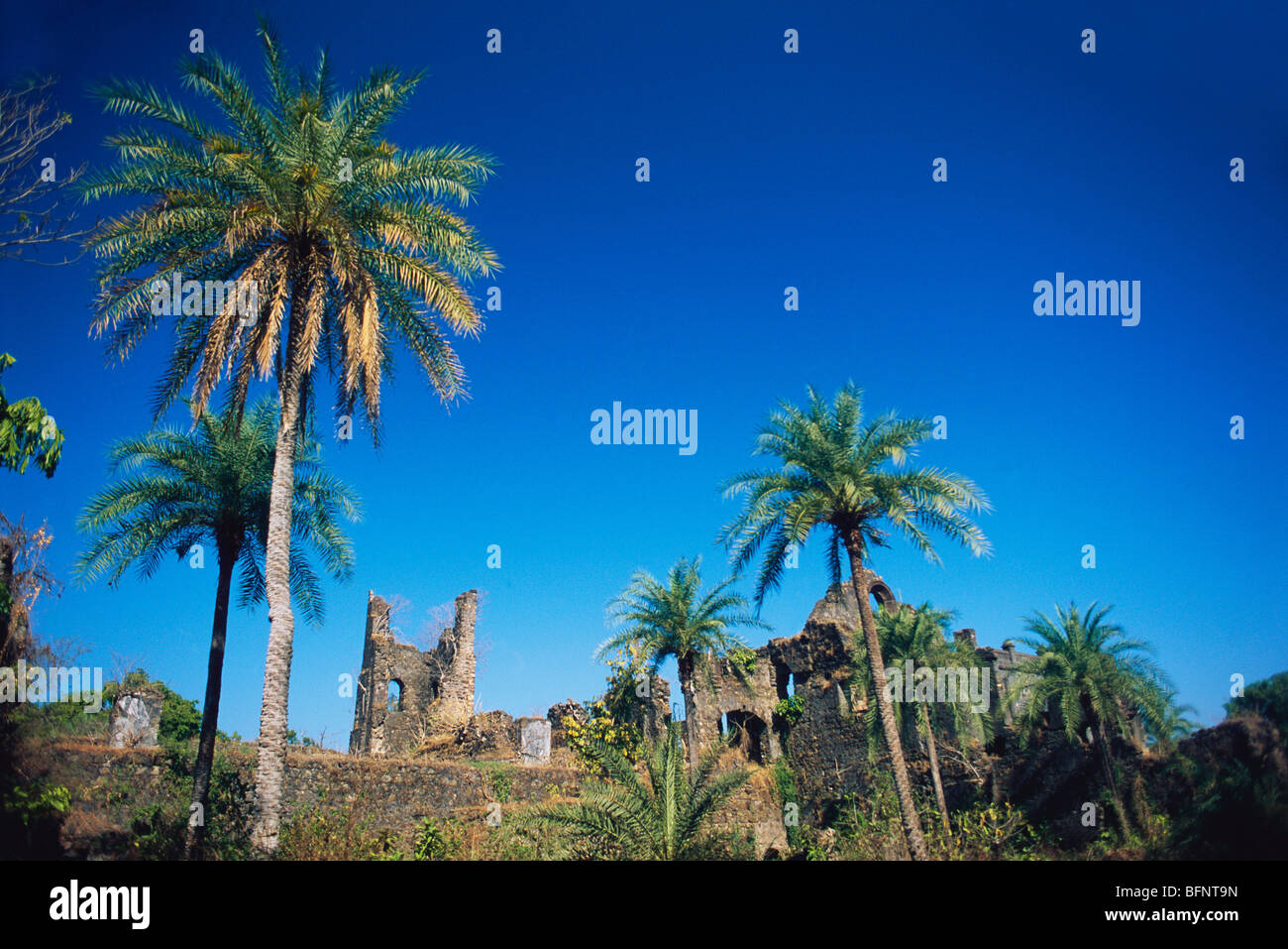 MBT 60639 Fort Bassein ; Vasai Bassein ; Maharashtra ; India Stock