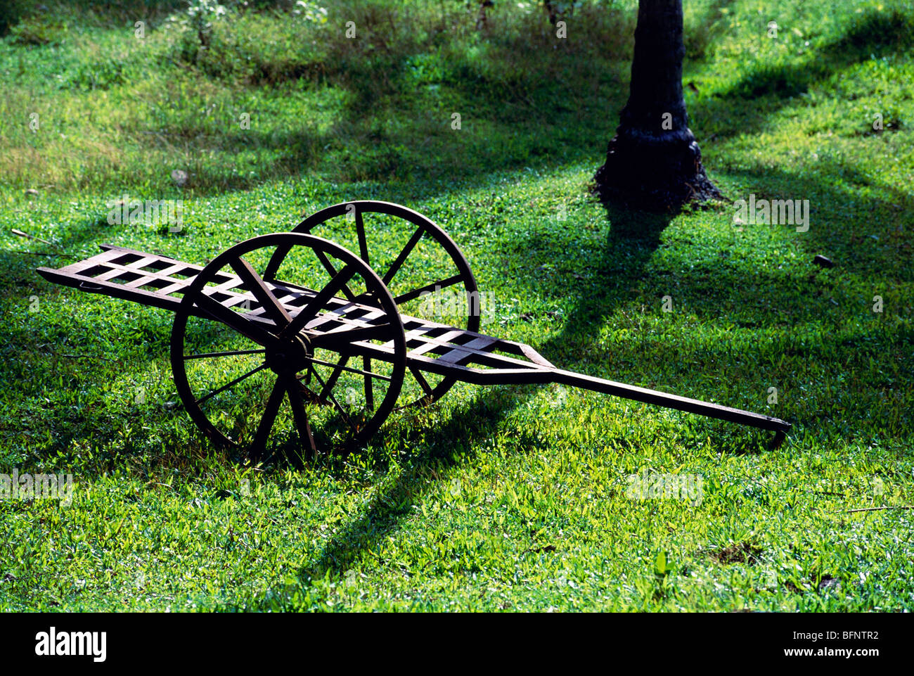 Old iron cart in field ; Kerala ; India ; asia Stock Photo