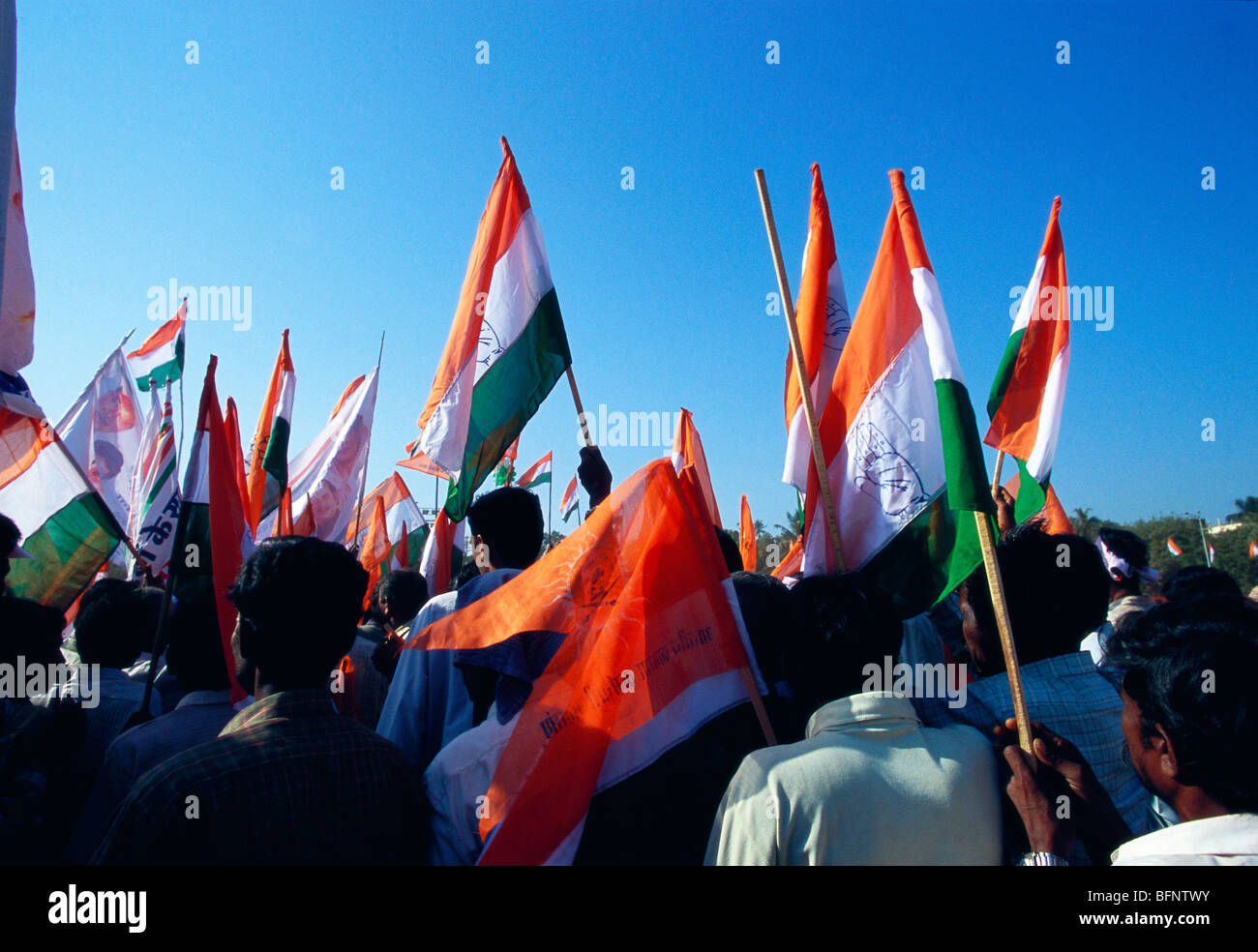 Congress party flags at Election meeting ; Bombay ; Mumbai ; Maharashtra ; India ; Asia Stock Photo