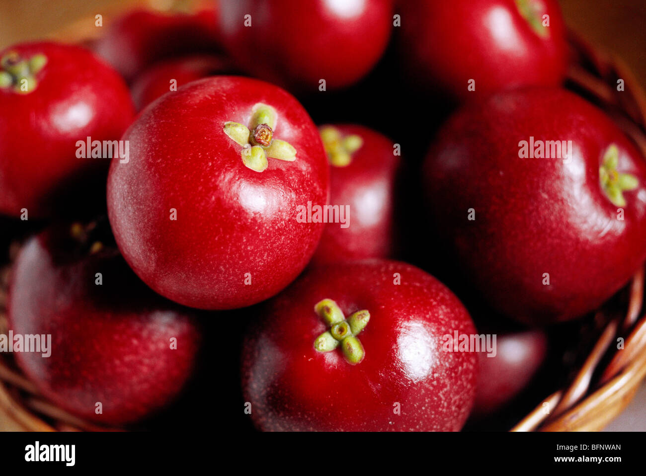 Kokum fruit hi-res stock photography and images - Alamy