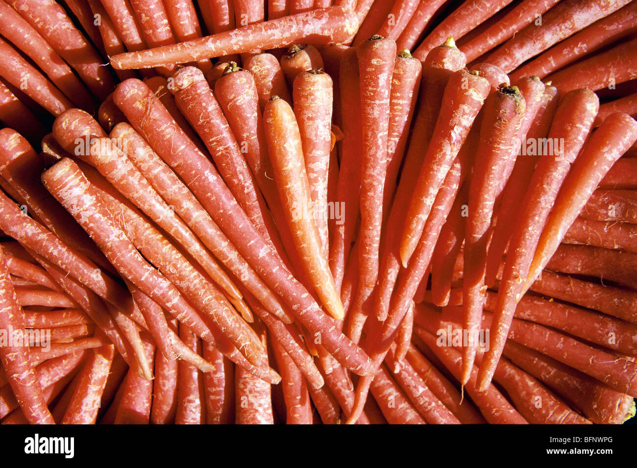 carrots for sale ; Bombay ; Mumbai ; Maharashtra ; India ; asia Stock