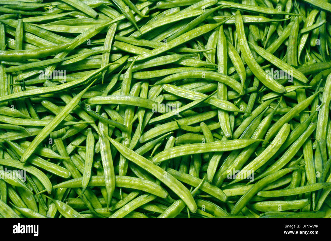 cluster beans or gawar green vegetable Stock Photo Alamy