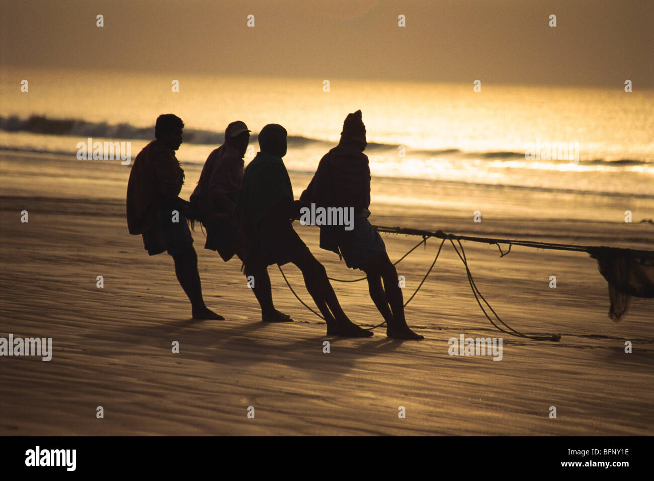 Fishermen pulling fishing net ; Orissa ; odisha ; India ; asia Stock