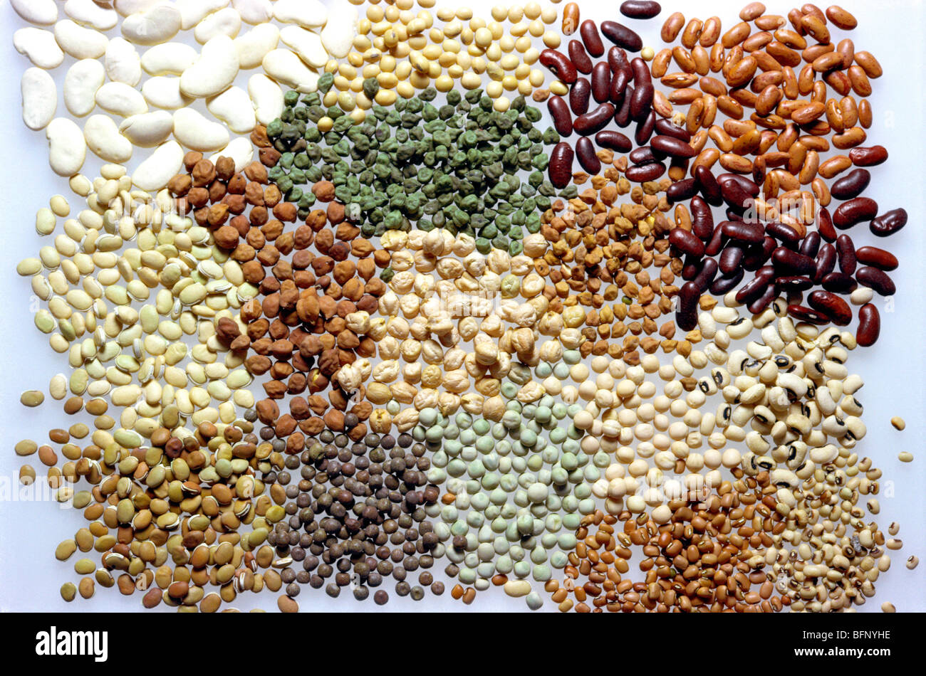 Mixed dried beans Stock Photo 26912858 Alamy