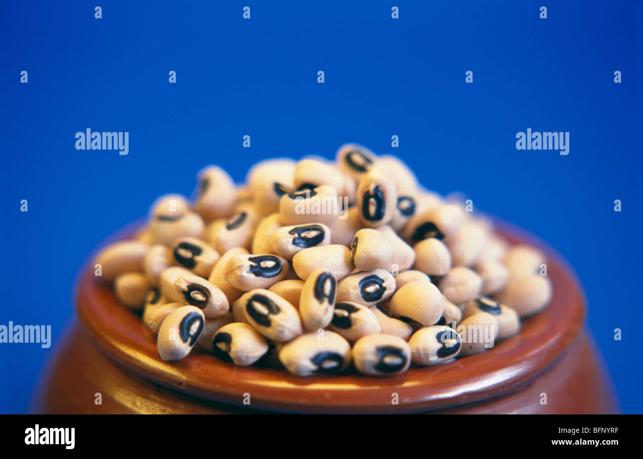 Black eyed beans Stock Photo