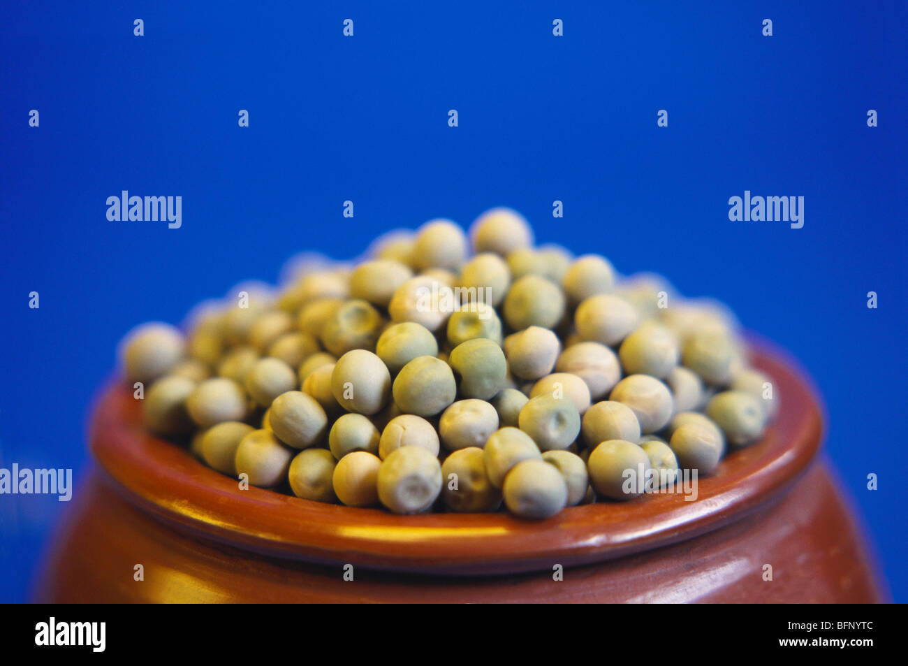 Dried green peas ; Pisum sativum ; India ; asia Stock Photo Alamy