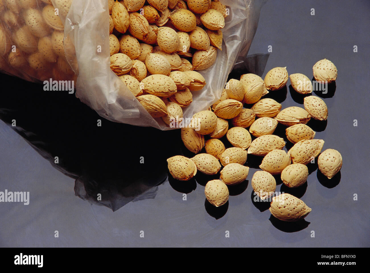 Almonds with shell ; Punjab ; India ; asia Stock Photo Alamy
