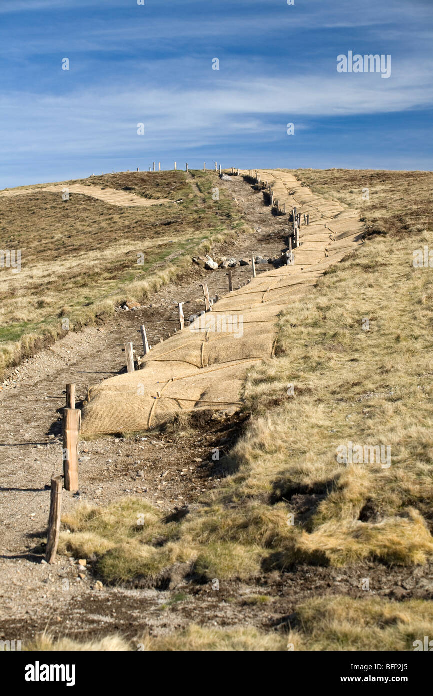 Tapis de sol noir-brun de tapis, velor pour les sièges avant et arrière de  la voiture sur un arrière-plan blanc isolé, vue du dessus Photo Stock -  Alamy